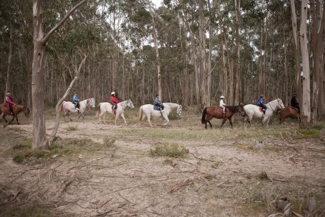 Rutas a caballo en Laredo